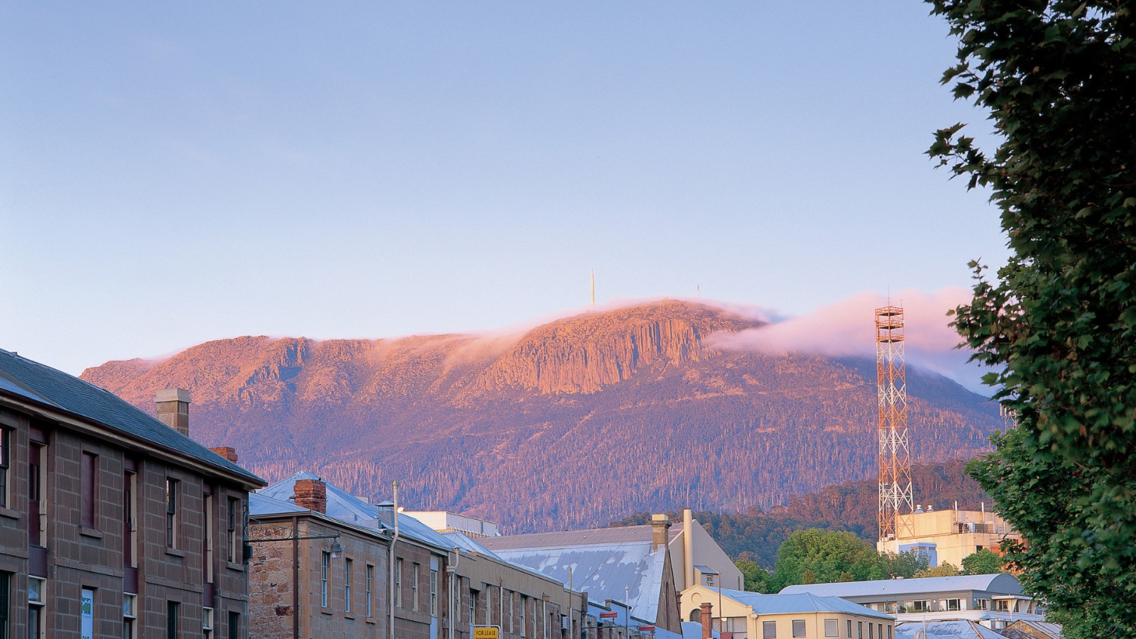 Study in Tasmania cover banner image